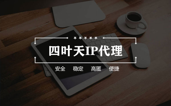 【正定代理IP】如何快速搭建代理IP？怎么检查代理的效果？